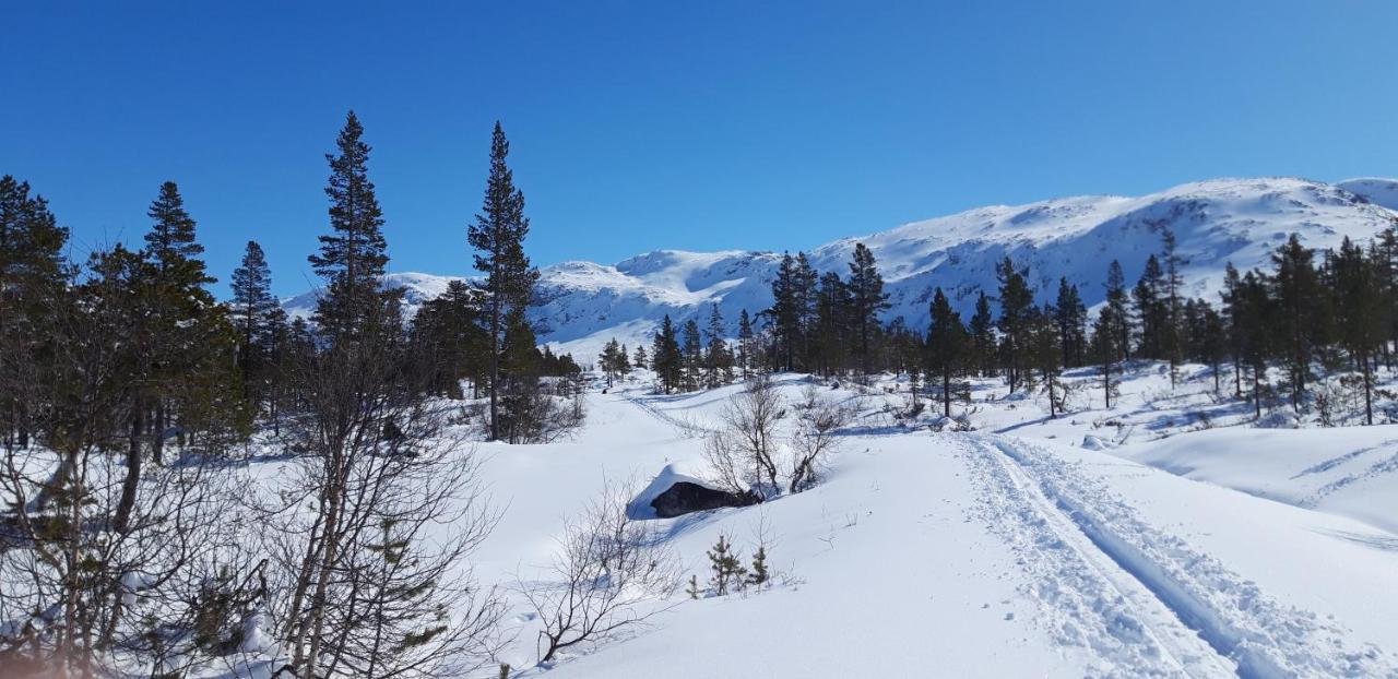 Stalheim Fjord Og Fjellhytter Exterior photo